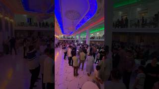 Botirxon UZBEK pappuri cover buxoro navoiyxonlik uzbekistan wedding [upl. by Boru]