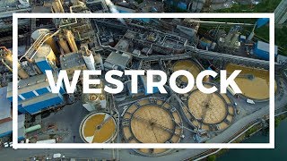 WestRock MeadWestvaco by Drone  Covington Virginia [upl. by Missak]