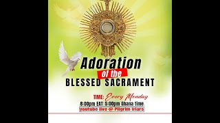 Adoration of the blessed Sacrament [upl. by Mattheus]