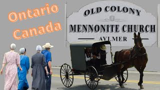 Exploring the Mennonite Way of Life in Ontario Canada [upl. by Alia]