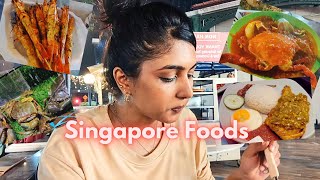 Singapore Street Foods  Tamil Vlog [upl. by Culberson]