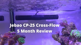 JebaoJecod CP25 Cross Flow Gyre  5 Month Review and XL200 Update [upl. by Airam]