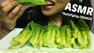 ASMR Satisfying CRUNCHY LETTUCE EATING SOUNDS  SASASMR [upl. by Kalasky]