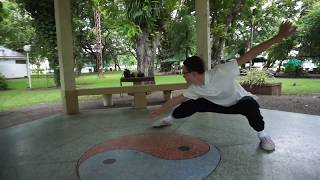 Tai Chi  LUMPINI PARK Thailand  The Shaolin Way [upl. by Worra213]