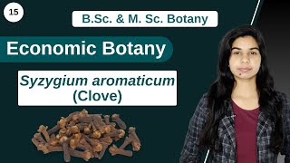 Economic Botany  Syzygium aromaticum  Clove  B Sc amp M Sc [upl. by Surad]