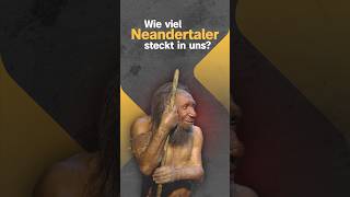 Wie viel Neandertaler steckt heute noch in uns [upl. by Aihtniroc]