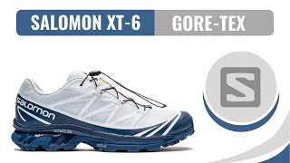 Salomon XT6 GoreTex Zapatillas Trail [upl. by Eeresed]