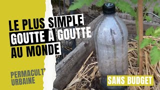 Comment créer et installer un goutte à goutte très simple avec bouteille et sans budget [upl. by Chavey]