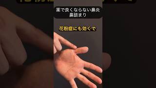 薬で良くならない鼻炎、鼻詰まりをお持ちの方へ鼻炎 鼻炎対策 鼻詰まり 花粉症に効く 鍼灸ツボ押し [upl. by Llerdnam]