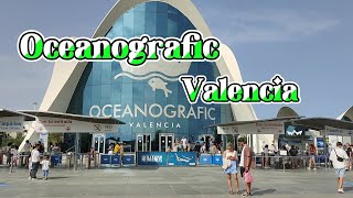 Oceanografic Valencia [upl. by Dickey]