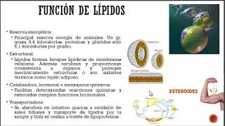 Bioquímica médica clase 16 biomoléculas orgánicas lípidos parte 1 [upl. by Nnayar]