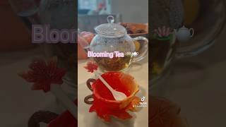 Make my morning Blooming Tea with me ☕️ tea morningroutine wintermorningroutine grwm wellness [upl. by Namus]