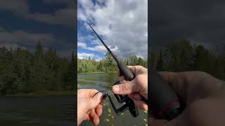 Fishing fishing minnesota fishinglife fisherman fishingtiktoks fishcontent fish mn [upl. by Asik]