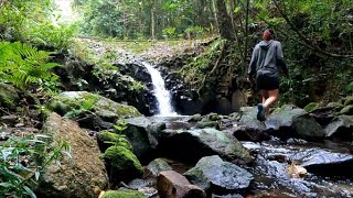 Goldsborough Valley Campground  Wooroonooran National Park Nth Qld 2022 [upl. by Anitsrik744]