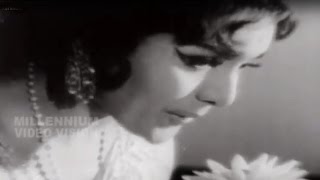 Malayalam Evergreen Film Song  Pathira Pakshikale  Urangatha Sundary  P Susheela [upl. by Ettenna]