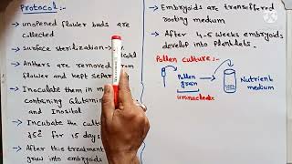 Anther culture and pollen culture in plant tissue culture androgenasis [upl. by Let970]