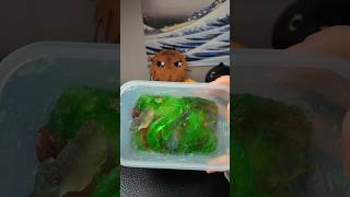 Making Frozen Gummies With Mtn Dew gummybear trending shorts [upl. by Atnahsal]