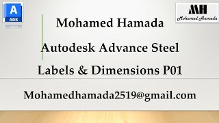 AS042 Labels amp Dimensions P01 Autodesk Advance Steel كورس ادفانس استيل [upl. by Rasecoiluj]