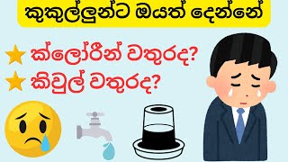 කුකුල්ලුන්ට කිවුල් වතුර  ක්ලෝරීන් වතුරද ඔයත් දෙන්නේ😢😢🫥🤌👇 [upl. by Ninaj]