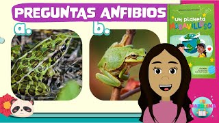 ¿CUÁNTO SABES DE ANFIBIOS  PREGUNTAS  DEVOCIÓN MATUTINA PARA NIÑOS  TU MATUTINA KIDS [upl. by Nal829]