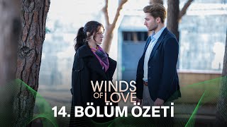 Rüzgarlı Tepe 14 Bölüm Özeti  Winds of Love Episode 14 Recap Eng Sub [upl. by Trevor]