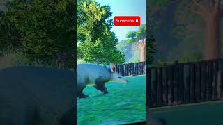 Cute Baby Aardvark Planet Zoo planetzoo babyanimal aardvark [upl. by Yttiy]