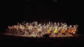 Guy Buttery with The Eastern Cape Philharmonic Orchestra [upl. by Dub292]