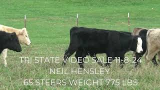 TRI STATE VIDEO SALE 11824 [upl. by Laram]