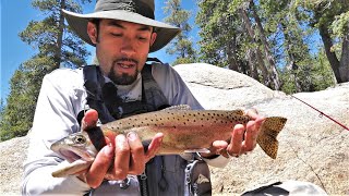 Trout Fishing the Sierras in California Day Two Catch and Cook and Camp [upl. by Oaoj786]