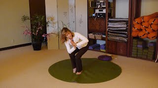 Work Your Core While Standing in Your Chair with Sherry Zak Morris [upl. by Jeffers]