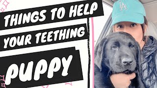 Teething Puppy Tips Best Teething Puppy Toys [upl. by Eiralav]