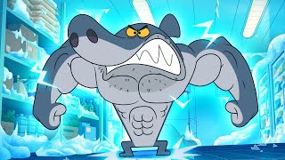 SUPER SHARK  Zig amp Sharko SEASON 3 BEST CARTOON COLLECTION  New Episodes in HD [upl. by Damarra]