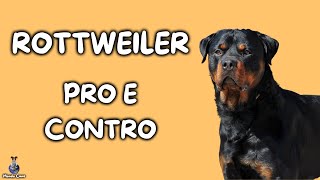 Rottweiler Pro e Contro [upl. by Drofnas560]