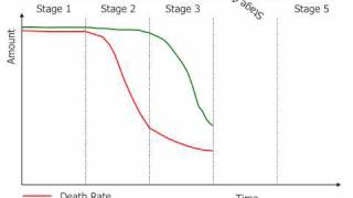 The Demographic Transition Model [upl. by Jarvey936]