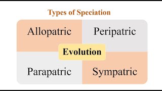 Types of Speciation [upl. by Cross676]