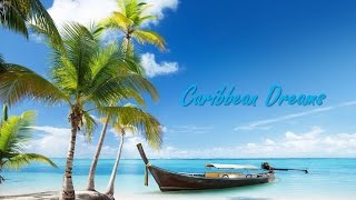 🏖 Best Tropical Caribbean and Steel Drum Music steeldrums [upl. by Aniuqaoj216]