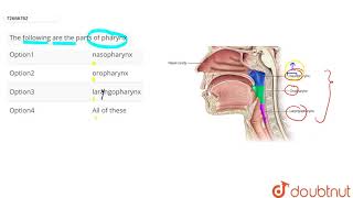 The following are the parts of pharynx [upl. by Ziza]