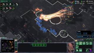 StarCraft 2 ZvP Mass Swarmhost vs Carrier Colossi [upl. by Herschel]