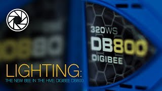 Lighting The new BEE in the Hive  DigiBee DB800 [upl. by Schroer305]