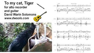 To my cat Tiger for alto recorder and guitar [upl. by Hairahs273]