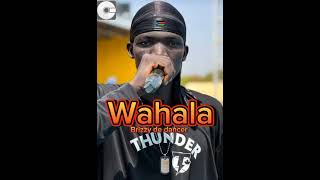 wahala song is out by Brizzy de dancer please subscribe to my YouTube channel southsudan music [upl. by Oirramed]