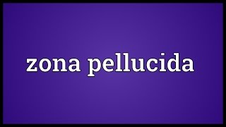 Zona pellucida Meaning [upl. by Alekal]