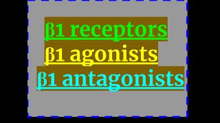 β1 agonists antagonists amp receptors [upl. by Anekahs]