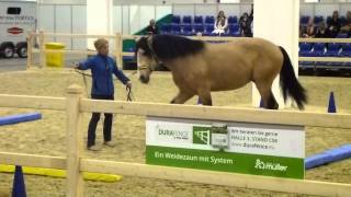 Equitana 2015  Equikinetik mit Pferdefluesterer Michael Geitner [upl. by Rip]