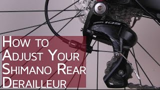 How to Adjust your Shimano Rear Derailleur  CGT  Bike School [upl. by Aileduab380]