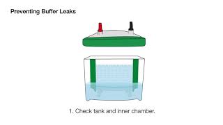 Quick Tips How to Minimize Band Distortion During Gel Electrophoresis for Western Blotting [upl. by Nosmas]