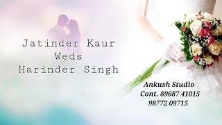 Jatinder Kaur Weds Harinder Singh ll Ankush Studio Cont 89687 41015 98772 09715 [upl. by Yhtir443]