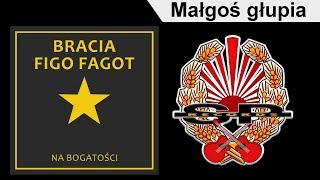 BRACIA FIGO FAGOT  Małgoś głupia OFFICIAL AUDIO [upl. by Nabe]