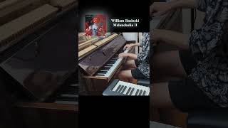 William Basinski  Melancholia II Solum Piano Cover piano ambient [upl. by Adnhoj]