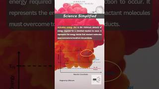 Reaction Coordinate  Activation Energy [upl. by Jamille859]